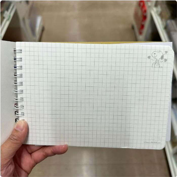 Extra_Image1.png