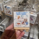 Mini Canvas Art Peter Rabbit