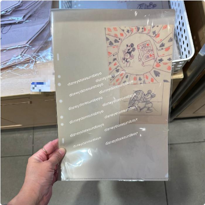A4 Clear File 