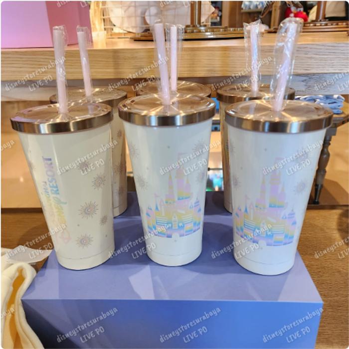 🎊 SHDR 2025 Items - Stainless Tumbler with Straw 
