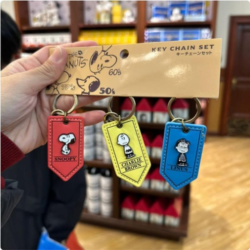 [1/26/2025-11:53-400] Keychain Sets Snoopy