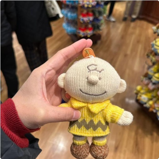 [1/26/2025-11:55-400] Strap Charlie Brown 