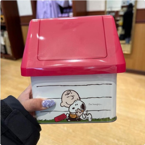 [1/26/2025-11:57-440] Snoopy Big Tincase House