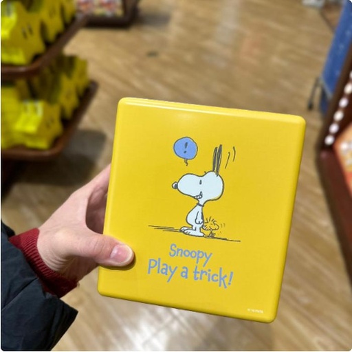 [1/26/2025-12:23-390] Snoopy Tincase Yellow