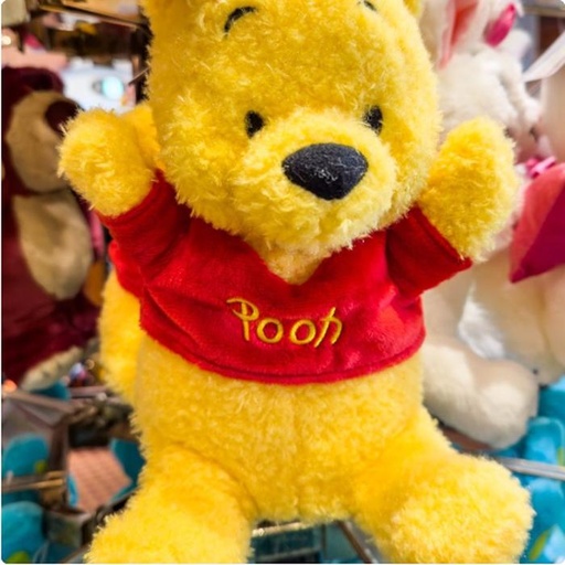 [1/26/2025-18:10-430] Handpuppet Pooh
