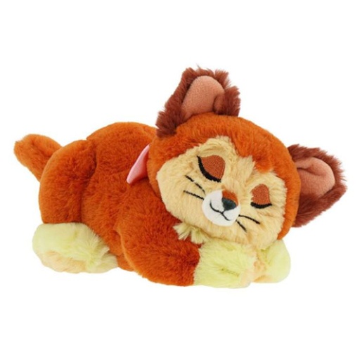 [1/26/2025-19:06-470] Small Fluffy Pillah Each 20cm Dynah 