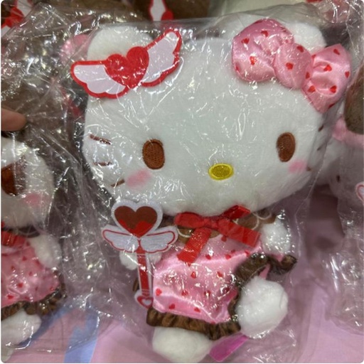 [24/1/2025-10.54-485] Plush Valentine HK