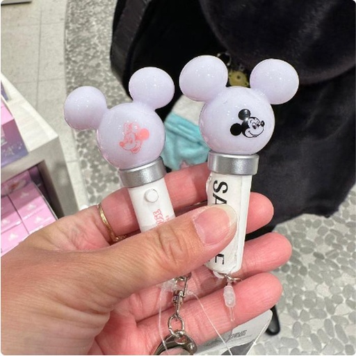 [24/1/2025-15.32-170] Penlight Secret Keychain Random 