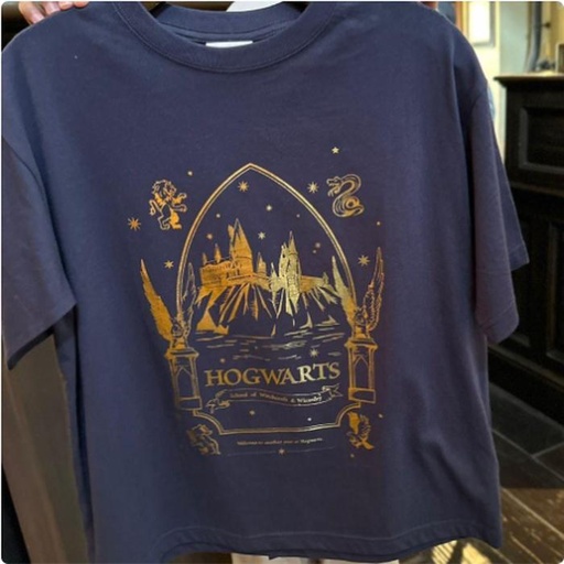 [24/1/2025-20.34-740] Clothes Hogwarts Castle