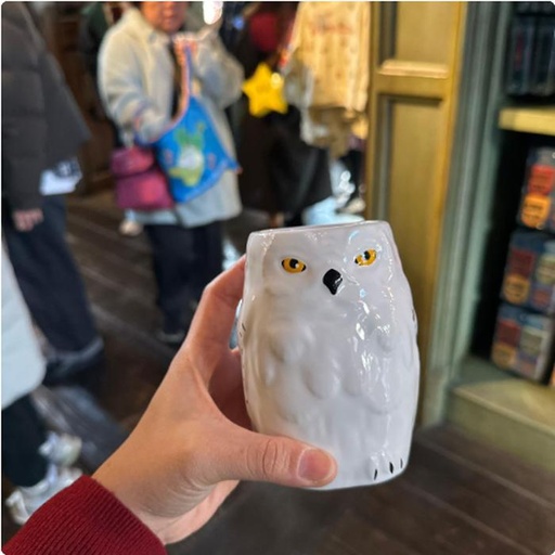 [24/1/2025-21.14-460] Mug Hedwig 