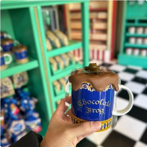 [24/1/2025-21.19-530] Mug Choco Frog 