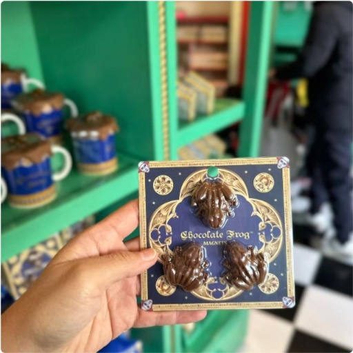 [24/1/2025-21.49-310] Choco Frog magnet