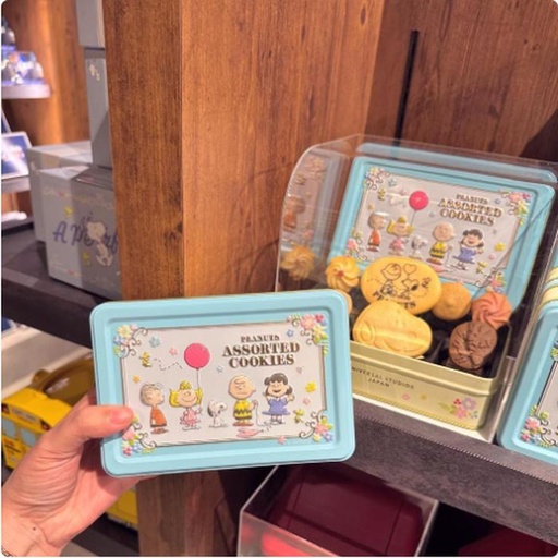 [28/02/2025-09:12-400] Cookies Mix Snoopy Tincase Emboss Arises 
