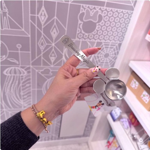 [28/02/2025-16:34-270] Stainless Mickey Coffee Spoon 