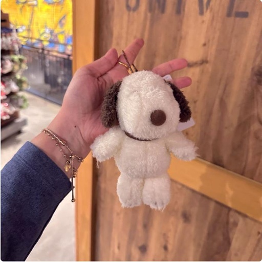 [2/27/2025-10:40-400] Strap Snoopy