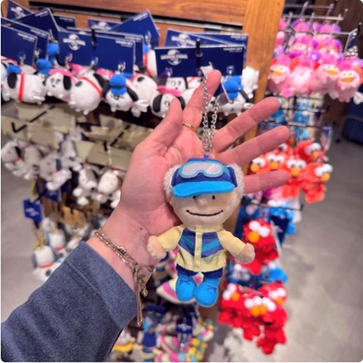 [2/27/2025-12:25-330] Keychain Charlie Brown Ski