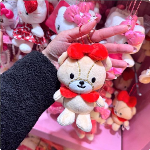 [2/27/2025-14:19-415] Strap Bear Kitty