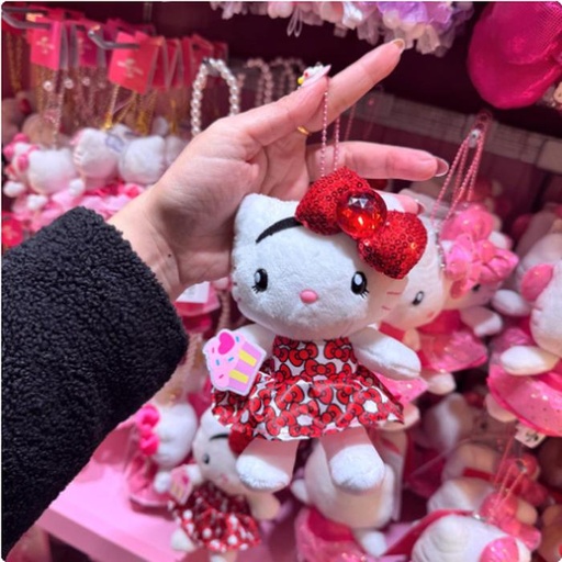 [2/27/2025-14:20-410] Strap Kitty Ribbon