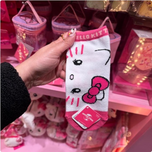 [2/27/2025-14:26-195] Socks Kitty