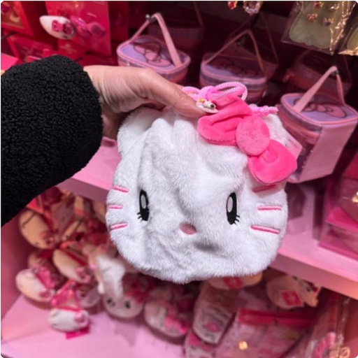 [2/27/2025-14:26-310] Kitty Shaved Pouch