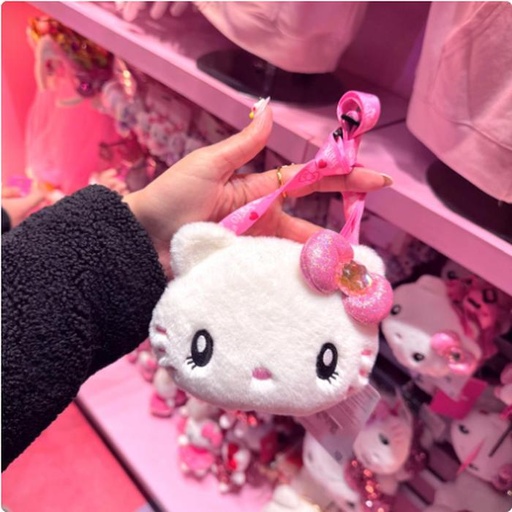 [2/27/2025-14:28-330] Slingpouch Kitty 