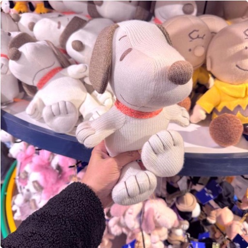 [2/27/2025-14:33-580] Plush Snoopy