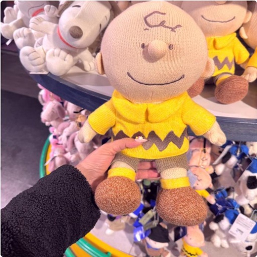 [2/27/2025-14:34-580] Plush Charlie Brown