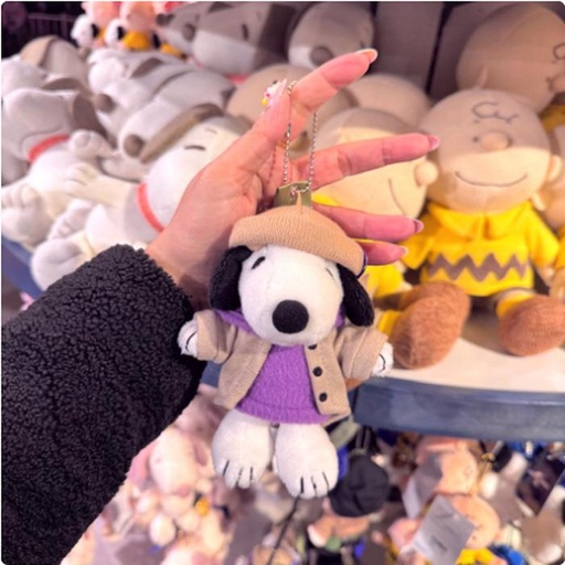 [2/27/2025-14:34-420] Strap Funday Snoopy 