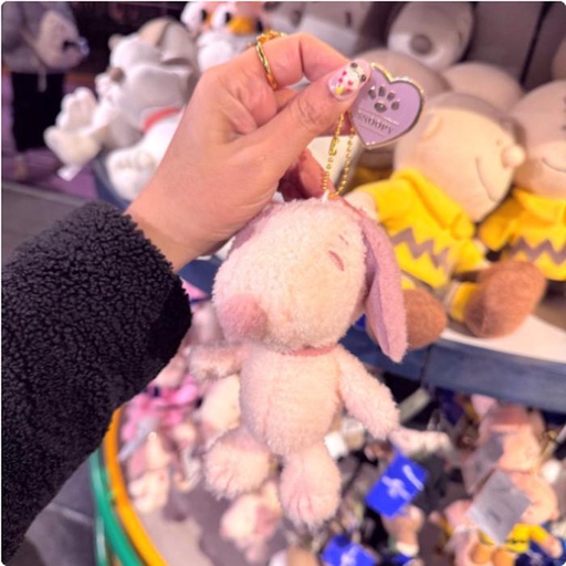 [2/27/2025-14:35-420] Strap Pink Snoopy With Charm 