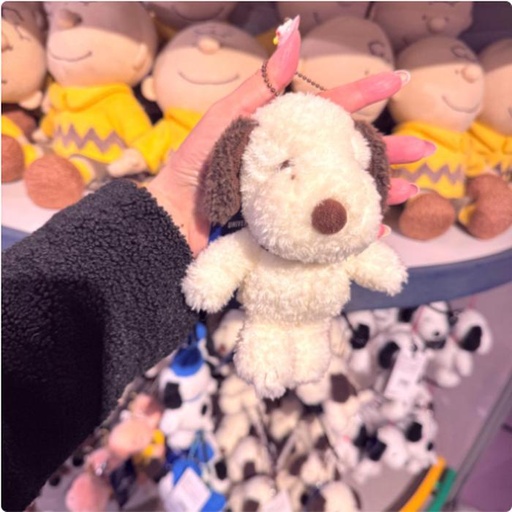 [2/27/2025-14:36-410] Strap Snoopy Fluffy