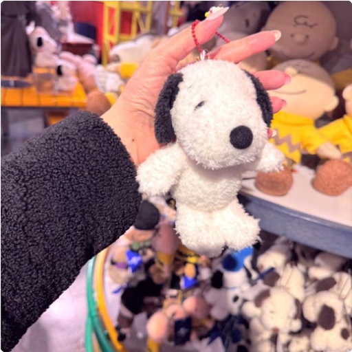 [2/27/2025-14:36-410] Strap Snoopy Fluffy 