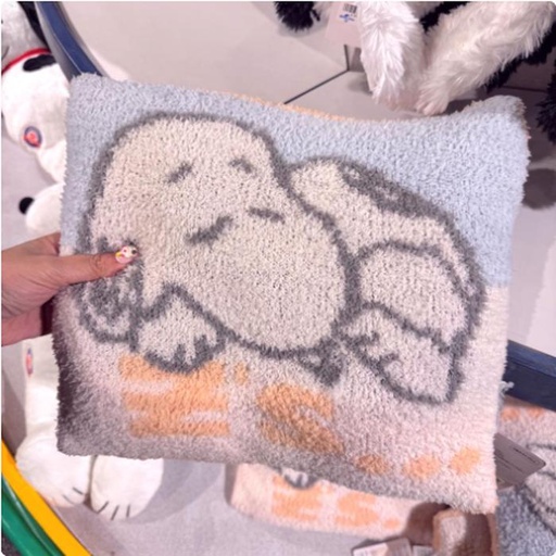 [2/27/2025-14:40-760] Snoopy Blanket Pillow