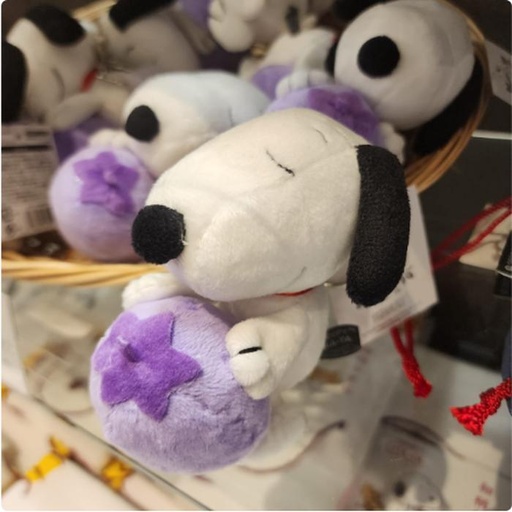 [2/27/2025-15:42-340] Snoopy Strap Blueberry 