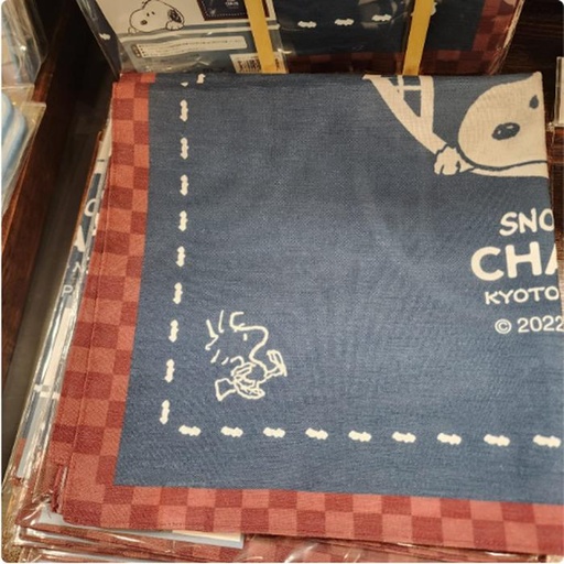 [2/27/2025-15:42-250] Snoopy Furoshiki