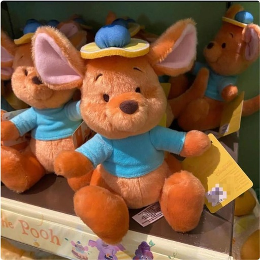 [3/9/2025-15:58-515] Roo Plush HKDL