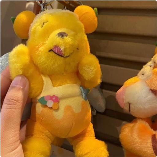 [3/9/2025-16:08-430] Plush Keychain Pooh (part Of His Hand Has A Magnet)