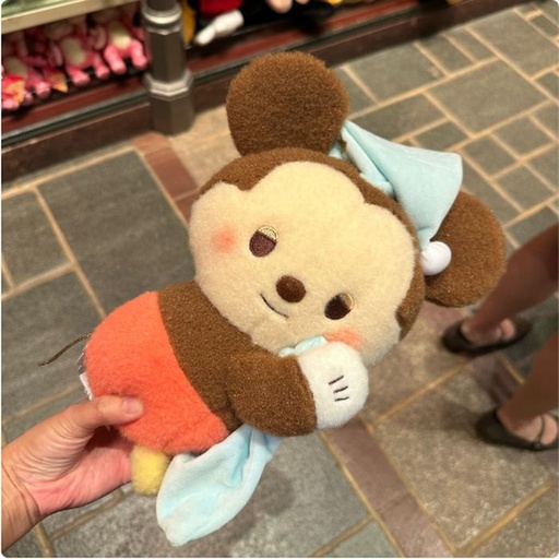 [3/9/2025-17:41-590] Mickey Plush M Dreamy