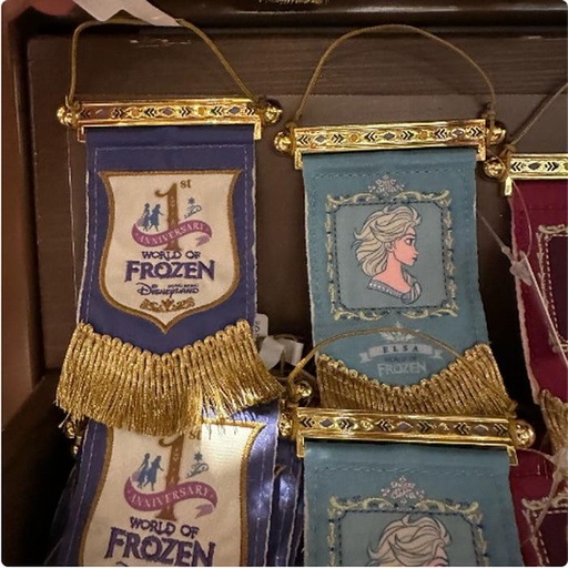 [3/9/2025-19:09-210] Frozen Magnetic Flag