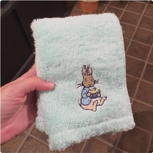 [3/11/2025-14:13-240] Hand Towel Imabari Japan Green