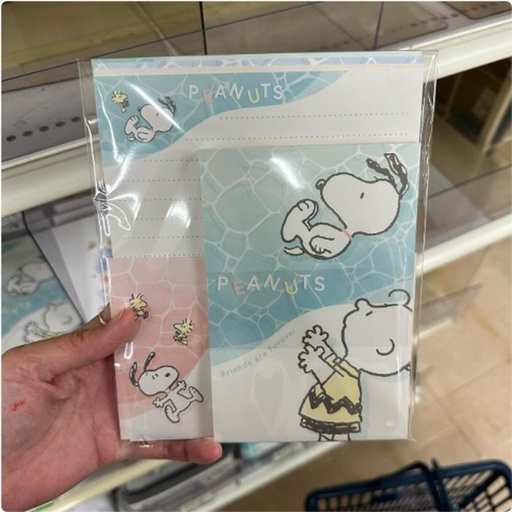 [3/11/2025-20:21-100] Snoopy Letter Set