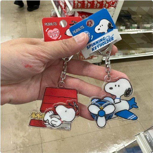 [3/11/2025-20:40-140] Snoopy Spinning Keyholder 