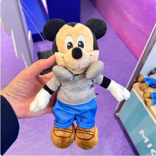 [3/13/2025-17:02-470] Mini Bean Plush Mickey