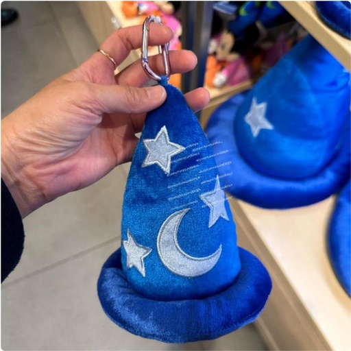 [3/13/2025-19:50-350] Mickey Fantasia's Keychain Pouch