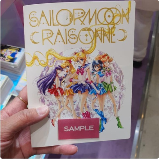 [3/15/2025-16:17-200] Sailor Moon Photo / Photocard Holder