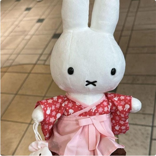 [15/03/2025-19:13-765] Push Miffy Kimono Red