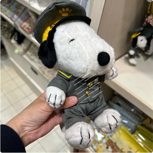 [15/03/2025-20:55-450] Snoopy Plush Special Edition TST