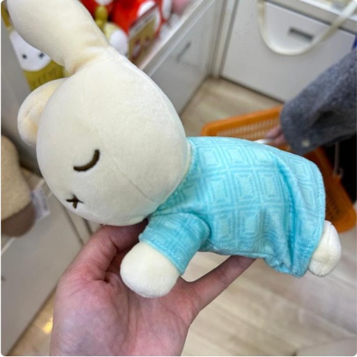 [15/03/2025-21:18-385] Miffy Plush Blue