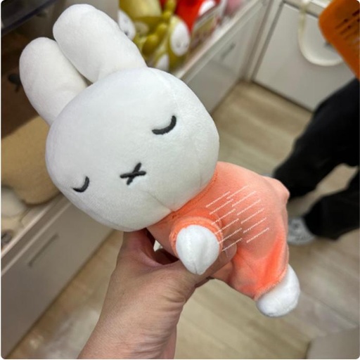 [15/03/2025-21:18-385] Miffy Plush Orange