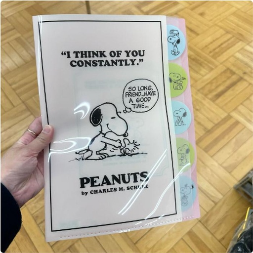 [16/03/2025-10:52-100] Snoopy A4 Index Holder White