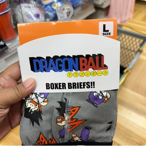 [9/30/2024-17:05-175] Adult Boxer Dragon Ball Sz L Only 
